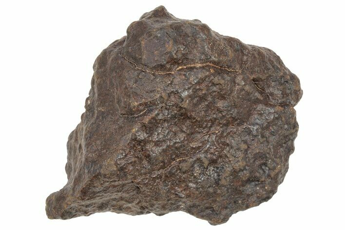 Chondrite Meteorite ( g) - Western Sahara Desert #233174